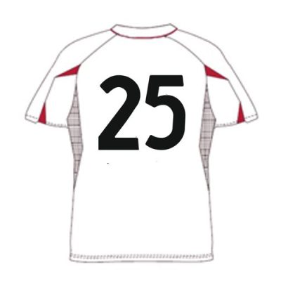 Modello Serie A - Numero grande